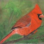 "Northern Cardinal", watercolour painting